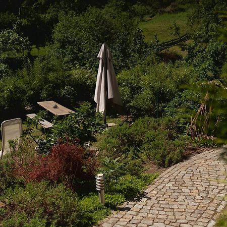 Haus Am Berzdorfer See - 3 Schlafzimmer - Ganzes Haus Zur Alleinnutzung - Terrasse - Hochwertige Ausstattung 괴를리츠 외부 사진