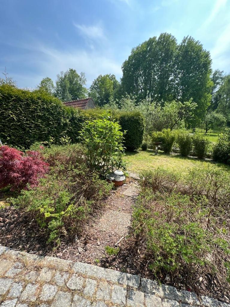 Haus Am Berzdorfer See - 3 Schlafzimmer - Ganzes Haus Zur Alleinnutzung - Terrasse - Hochwertige Ausstattung 괴를리츠 외부 사진