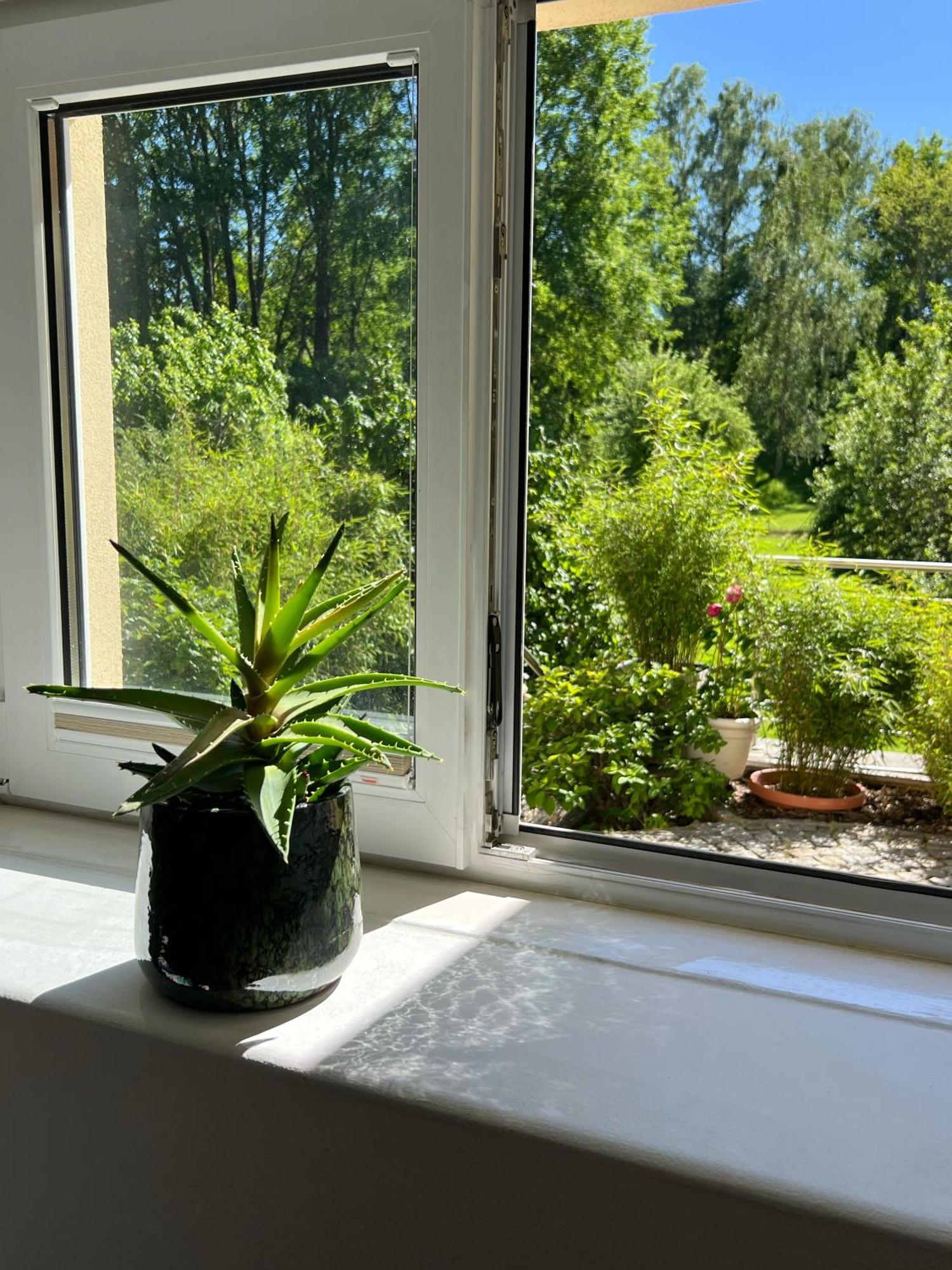Haus Am Berzdorfer See - 3 Schlafzimmer - Ganzes Haus Zur Alleinnutzung - Terrasse - Hochwertige Ausstattung 괴를리츠 외부 사진
